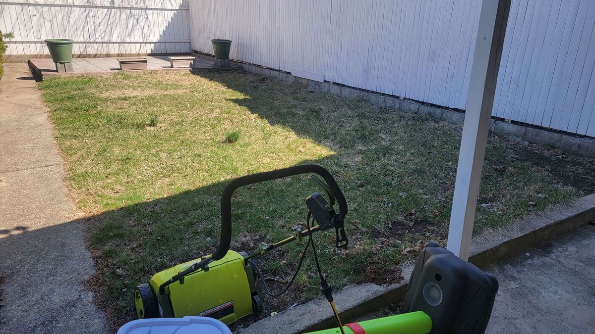 Backyard before