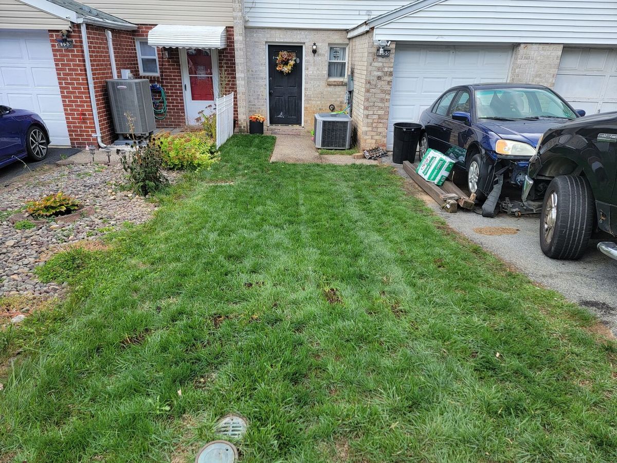 Lawn after, green and even
