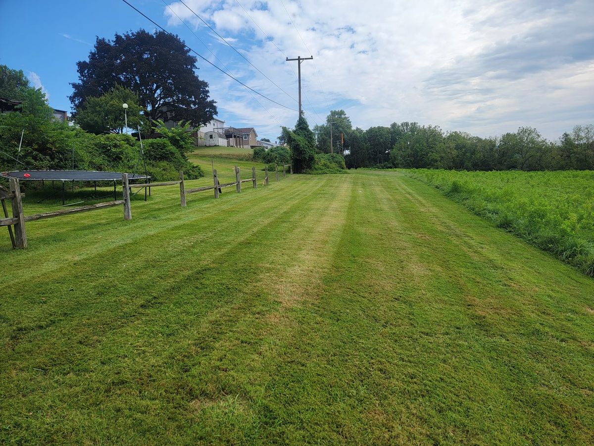 Freshly mowed lawn with crisp mowing stripes maintained by Ortiz Lawn Care